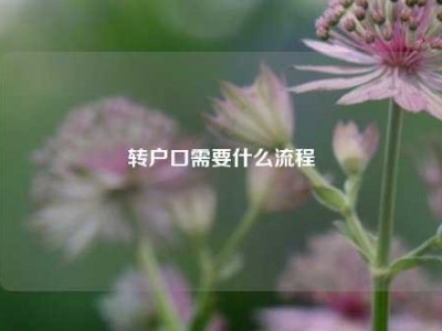 转户口需要什么流程