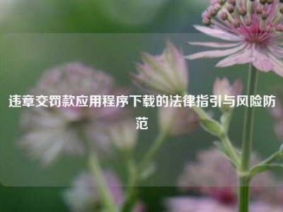 违章交罚款应用程序下载的法律指引与风险防范