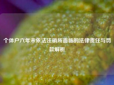 个体户六年未依法注销所面临的法律责任与罚款解析