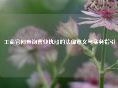 工商官网查询营业执照的法律意义与实务指引
