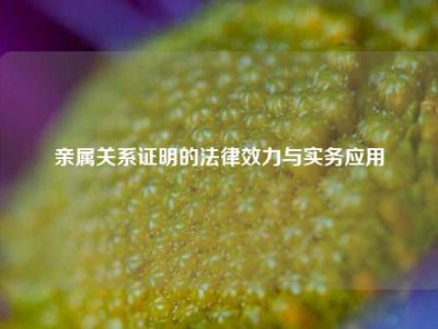 亲属关系证明的法律效力与实务应用