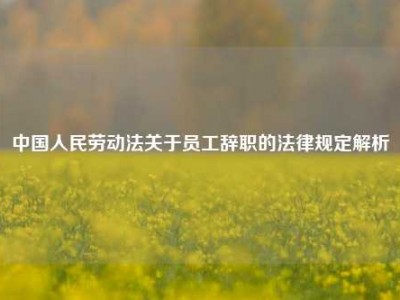 中国人民劳动法关于员工辞职的法律规定解析