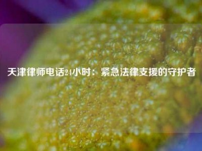 天津律师电话24小时：紧急法律支援的守护者