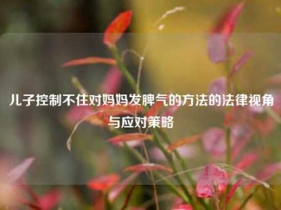 儿子控制不住对妈妈发脾气的方法的法律视角与应对策略