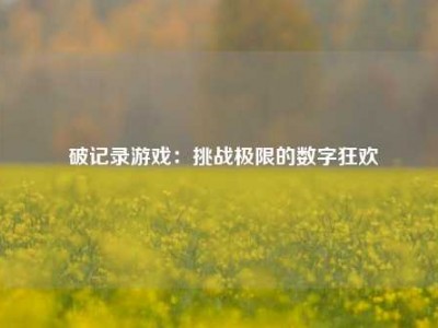  破记录游戏：挑战极限的数字狂欢