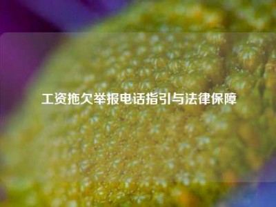 工资拖欠举报电话指引与法律保障