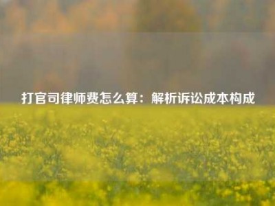 打官司律师费怎么算：解析诉讼成本构成