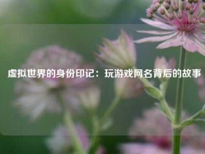  虚拟世界的身份印记：玩游戏网名背后的故事