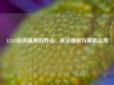 12345投诉最狠的办法：依法维权与策略运用