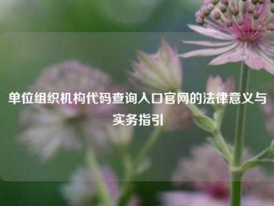 单位组织机构代码查询入口官网的法律意义与实务指引