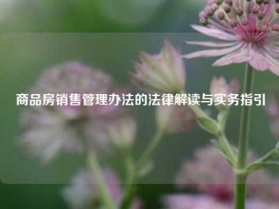 商品房销售管理办法的法律解读与实务指引