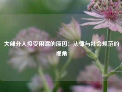 大部分人接受用嘴的原因：法律与社会规范的视角