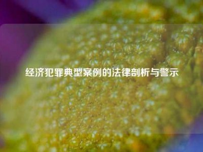 经济犯罪典型案例的法律剖析与警示