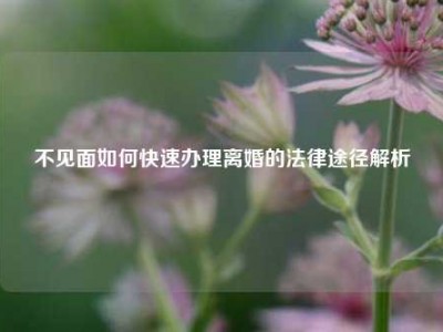不见面如何快速办理离婚的法律途径解析