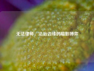 无法律师：法治边缘的暗影博弈