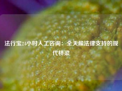 法行宝24小时人工咨询：全天候法律支持的现代桥梁