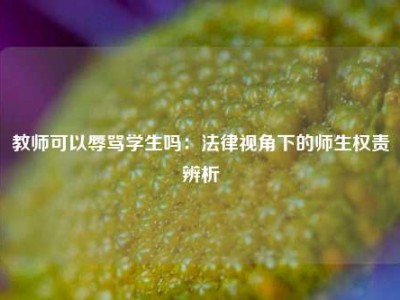 教师可以辱骂学生吗：法律视角下的师生权责辨析