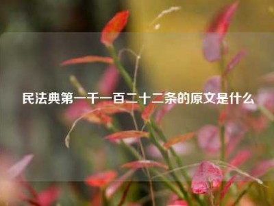 民法典第一千一百二十二条的原文是什么