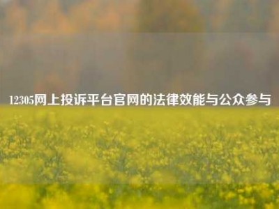 12305网上投诉平台官网的法律效能与公众参与