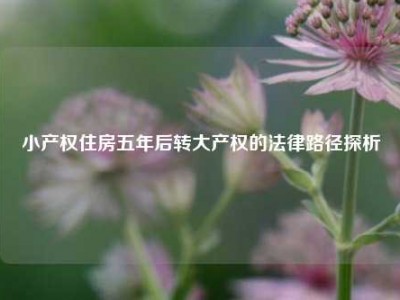 小产权住房五年后转大产权的法律路径探析