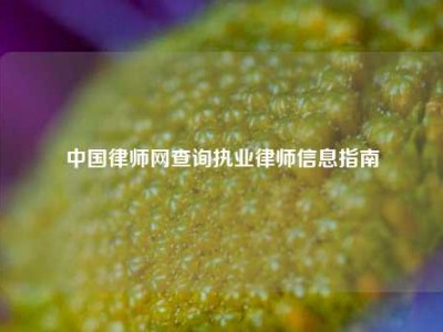 中国律师网查询执业律师信息指南