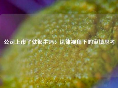 公司上市了就很牛吗：法律视角下的审慎思考