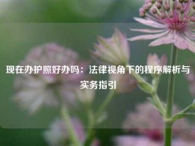 现在办护照好办吗：法律视角下的程序解析与实务指引