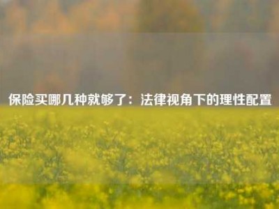 保险买哪几种就够了：法律视角下的理性配置