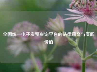 全国统一电子发票查询平台的法律意义与实践价值