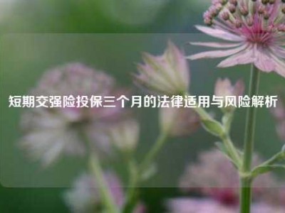 短期交强险投保三个月的法律适用与风险解析
