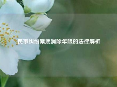 民事纠纷案底消除年限的法律解析