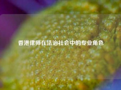 香港律师在法治社会中的专业角色