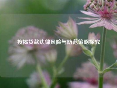 按揭贷款法律风险与防范策略探究