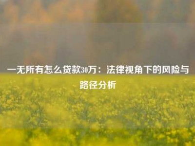 一无所有怎么贷款30万：法律视角下的风险与路径分析