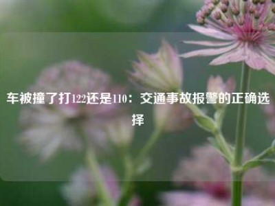 车被撞了打122还是110：交通事故报警的正确选择