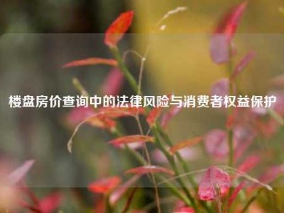 楼盘房价查询中的法律风险与消费者权益保护