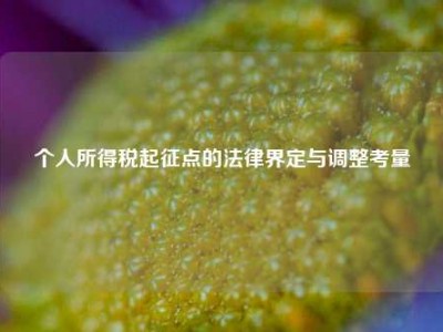 个人所得税起征点的法律界定与调整考量