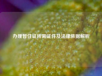 办理暂住证所需证件及法律依据解析