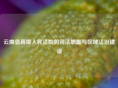 云南省高级人民法院的司法职能与区域法治建设