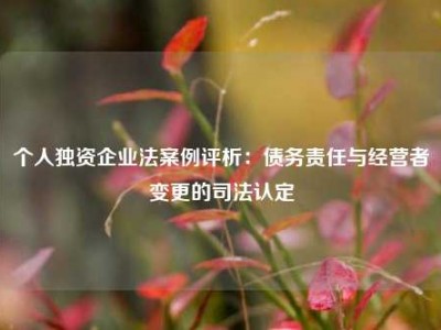 个人独资企业法案例评析：债务责任与经营者变更的司法认定