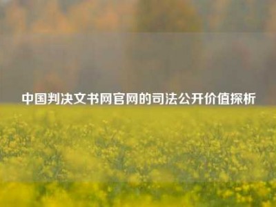 中国判决文书网官网的司法公开价值探析
