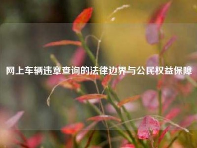 网上车辆违章查询的法律边界与公民权益保障