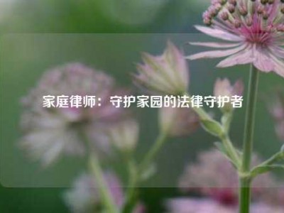 家庭律师：守护家园的法律守护者