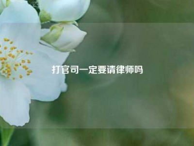 打官司一定要请律师吗