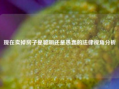 现在卖掉房子是聪明还是愚蠢的法律视角分析
