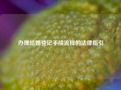 办理结婚登记手续流程的法律指引