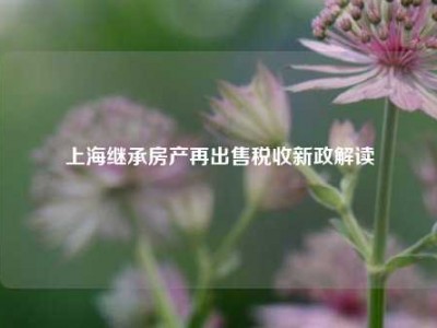 上海继承房产再出售税收新政解读