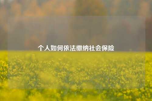 个人如何依法缴纳社会保险