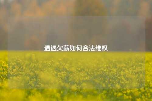 遭遇欠薪如何合法维权
