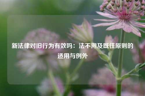 新法律对旧行为有效吗：法不溯及既往原则的适用与例外